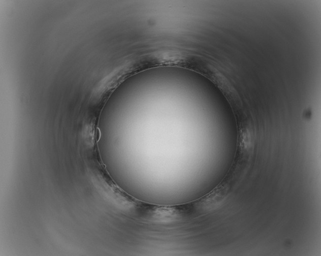 X0000112420666200908211147