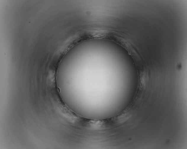 X0000112420667200908211147