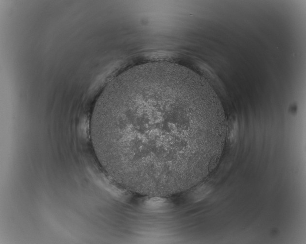 X0000112420669200908211147