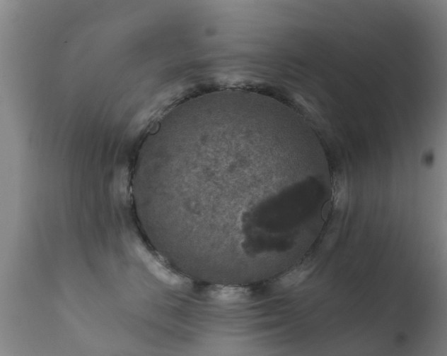 X0000112420670200908211147