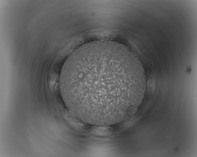 X0000112420671200908211147