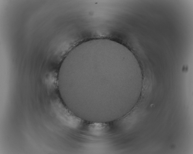 X0000112420672200908211147