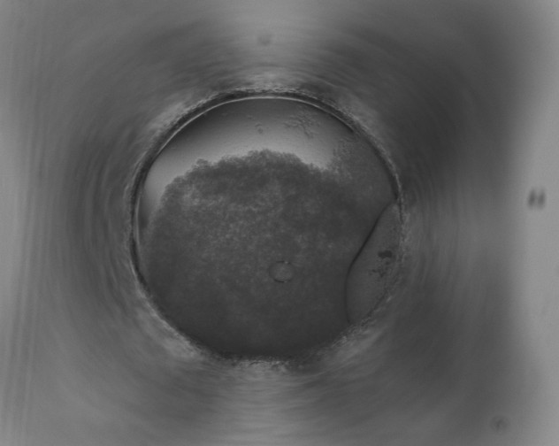 X0000112420673200908211146