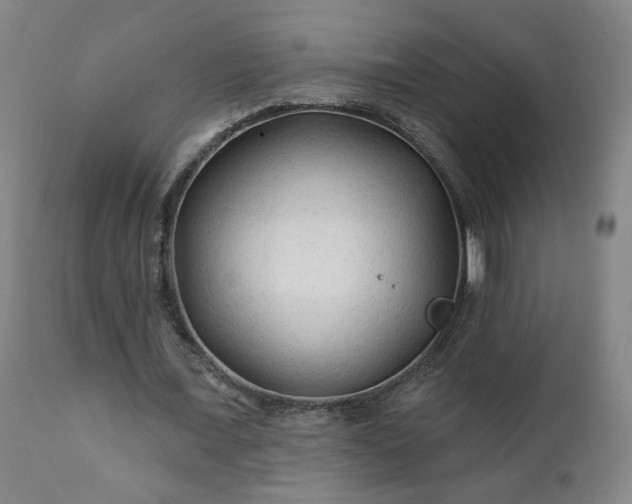 X0000112420675200908211146