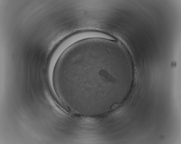 X0000112420677200908211146