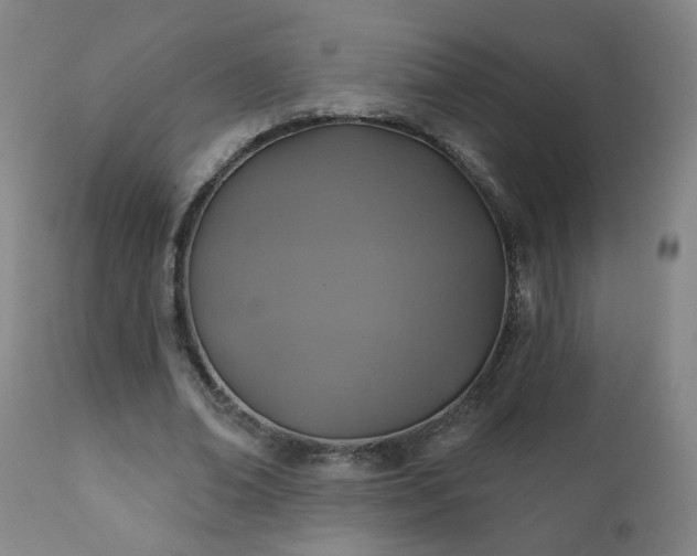 X0000112420678200908211146