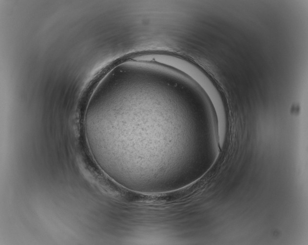 X0000112420680200908211146