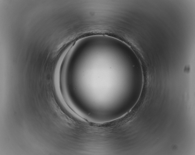 X0000112420681200908211146