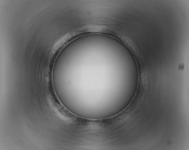 X0000112420682200908211146