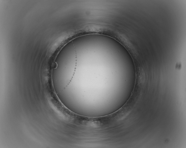 X0000112420683200908211146