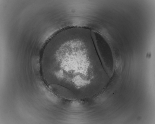 X0000112420684200908211146