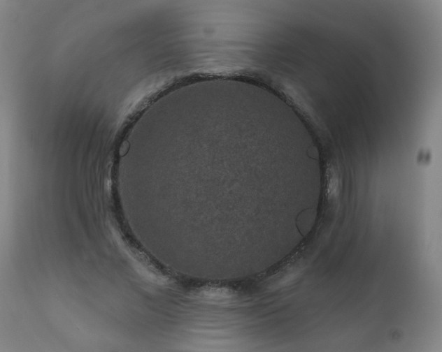 X0000112420685200908211146