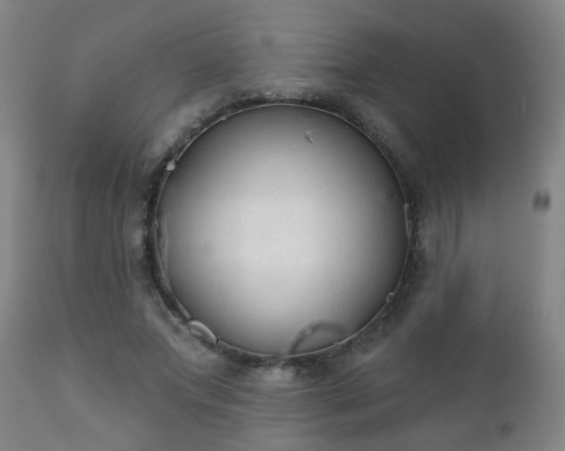 X0000112420687200908211146