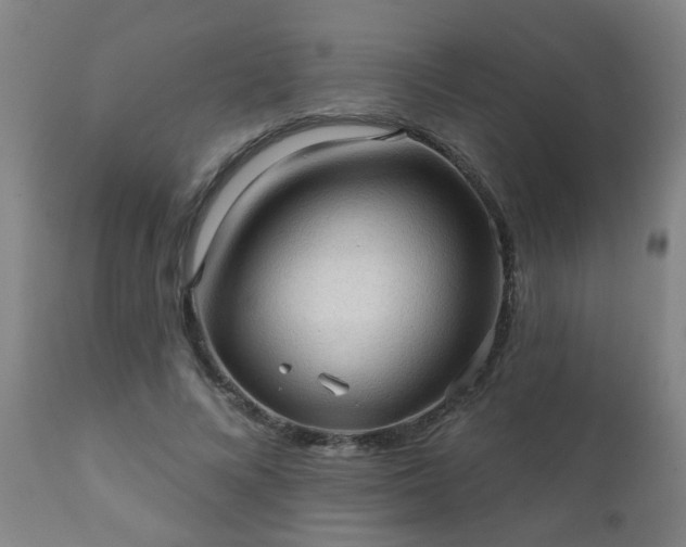 X0000112420688200908211146