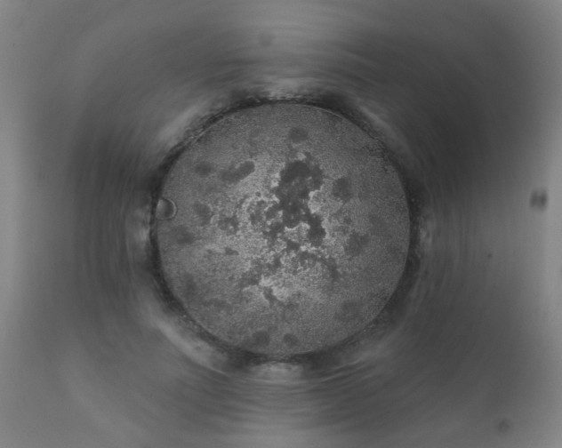 X0000112420691200908211146