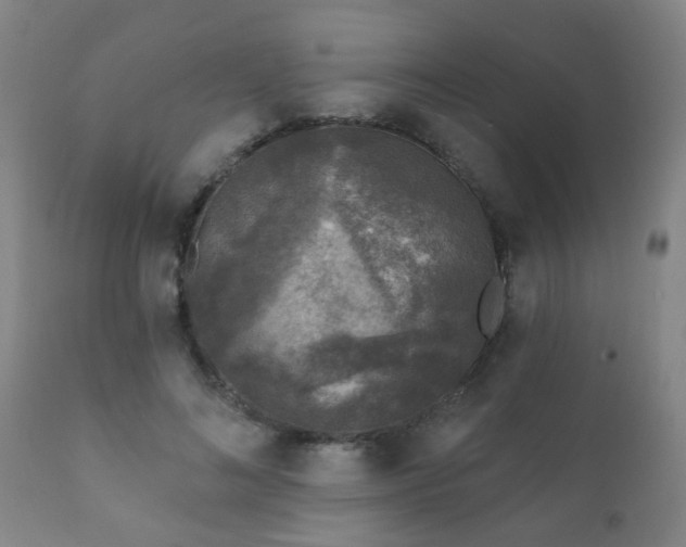 X0000112420692200908211146