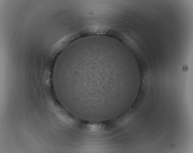 X0000112420693200908211146