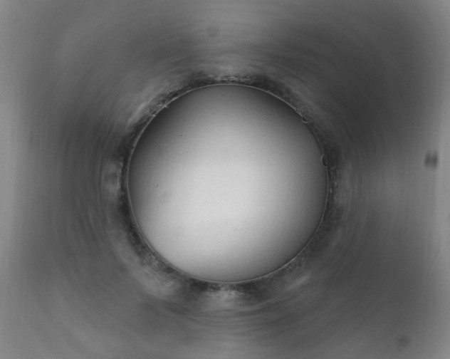 X0000112420695200908211146