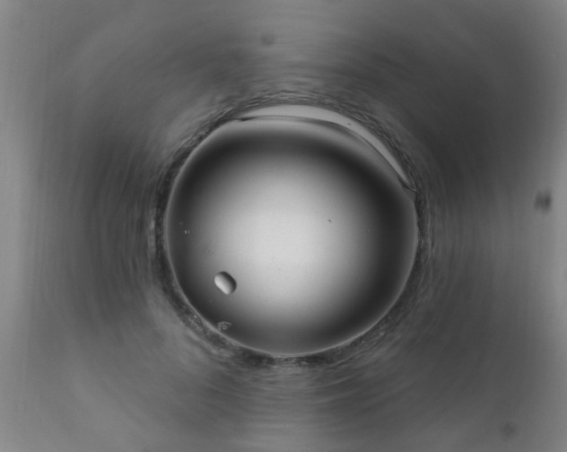 X0000112420696200908211146