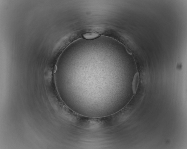 X0000112420697200908211146