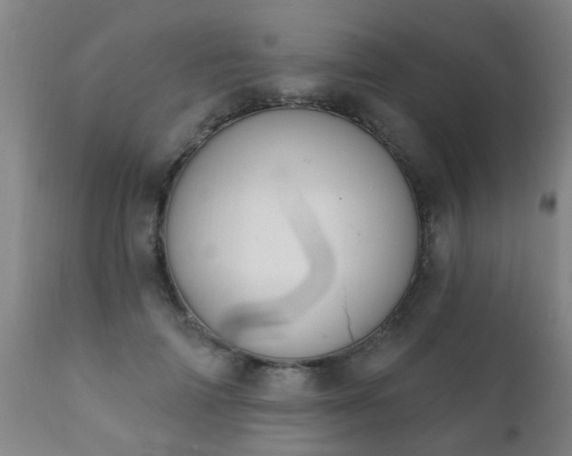 X0000112420698200908211146