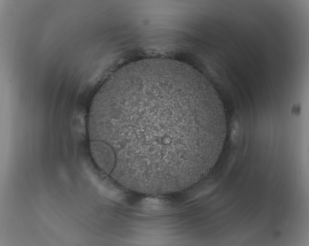 X0000112420699200908211146