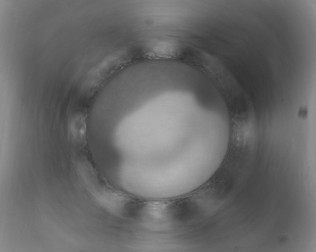 X0000112420701200908211146