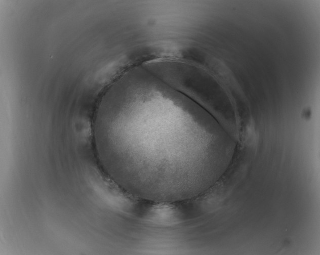 X0000112420704200908211146