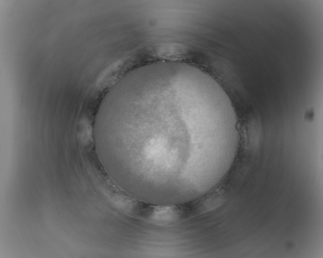 X0000112420705200908211146