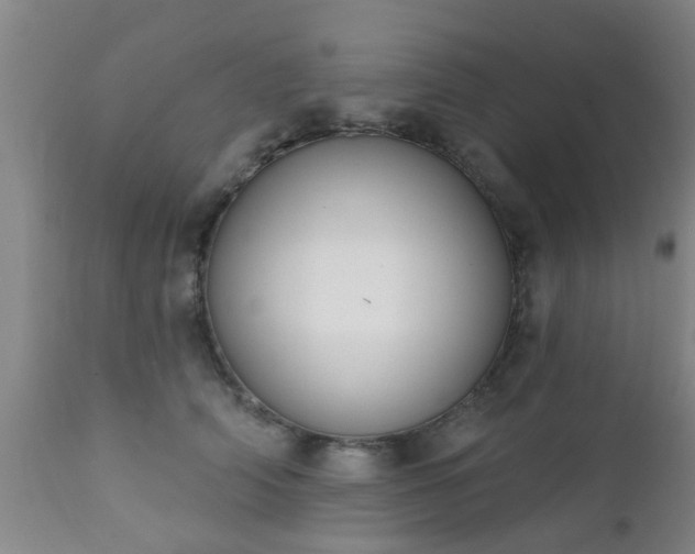 X0000112420706200908211146