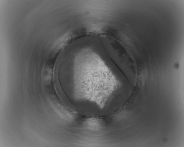 X0000112420708200908211146