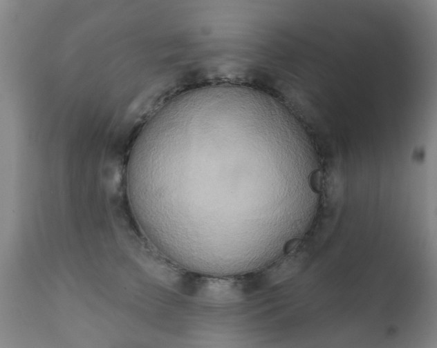 X0000112420709200908211146