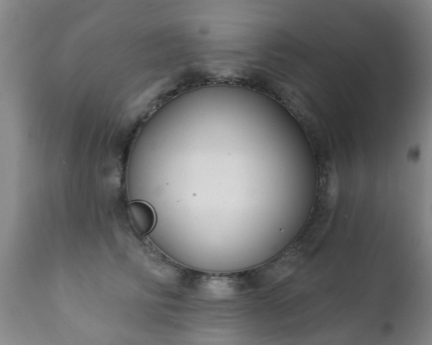 X0000112420710200908211146