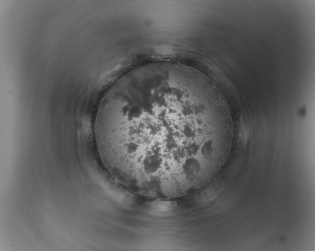 X0000112420711200908211146