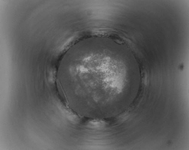 X0000112420712200908211146