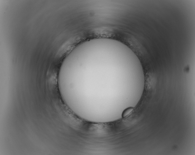 X0000112420713200908211146