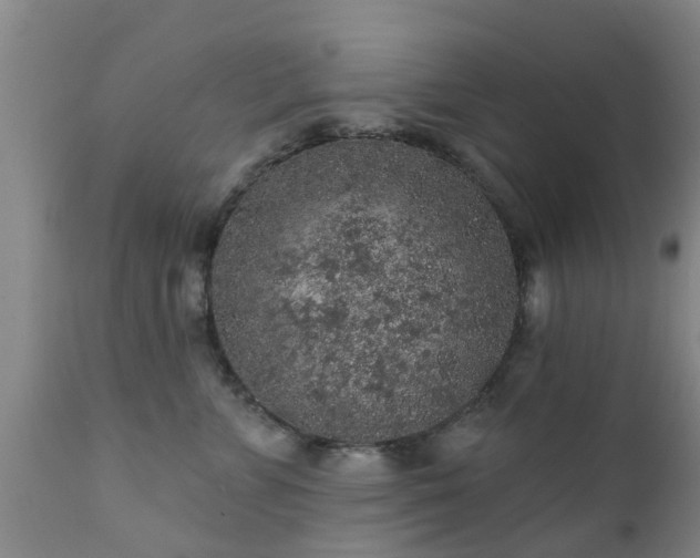 X0000112420715200908211146