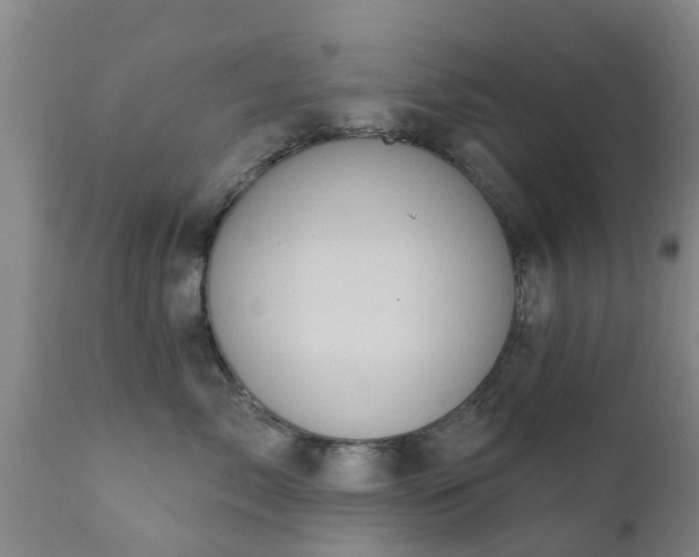 X0000112420717200908211146