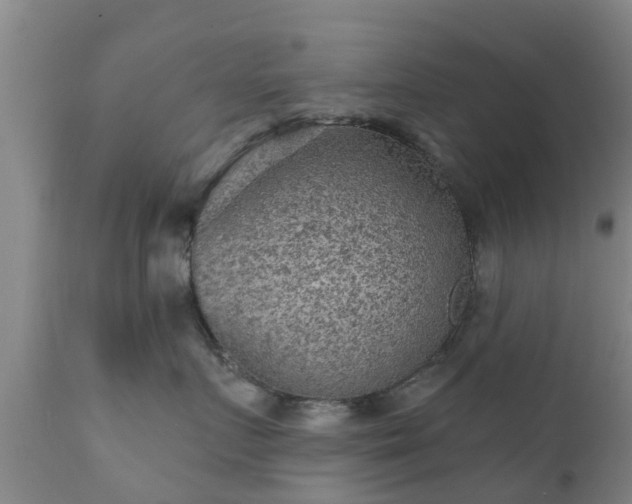 X0000112420719200908211146