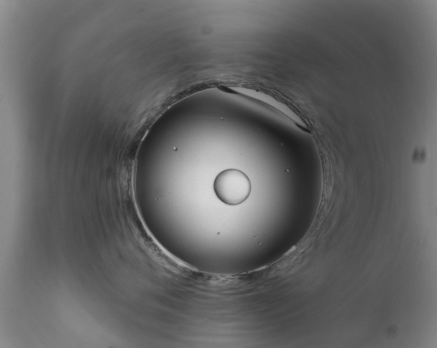 X0000112420720200908211146