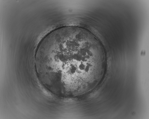 X0000112420721200908211145