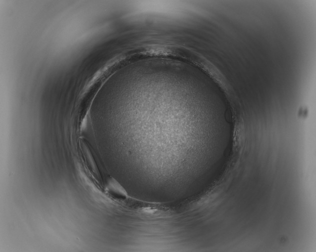 X0000112420722200908211145