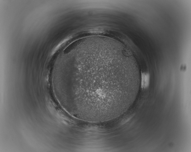 X0000112420723200908211145