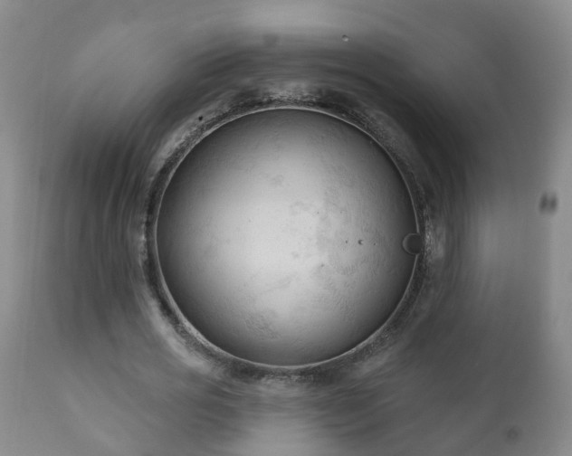 X0000112420725200908211145