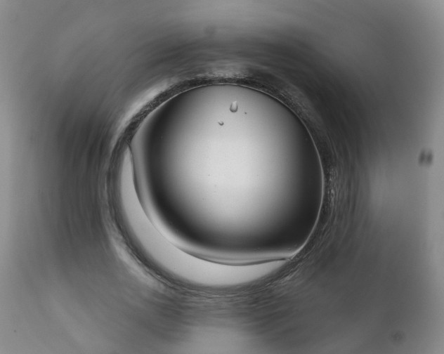 X0000112420726200908211145