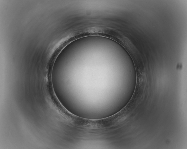 X0000112420727200908211145