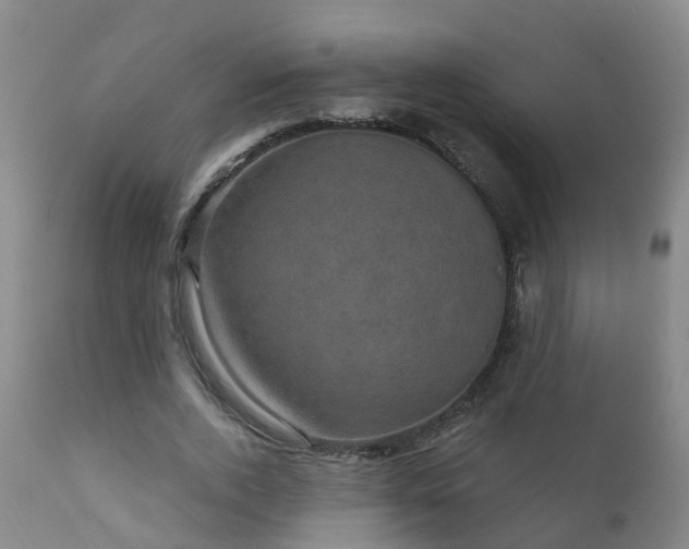 X0000112420728200908211145