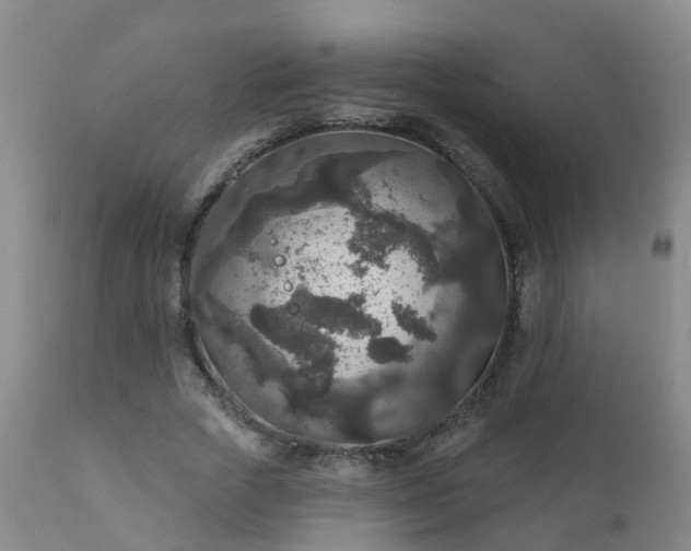 X0000112420729200908211145