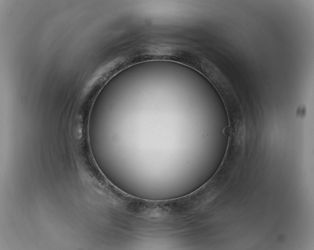 X0000112420731200908211145