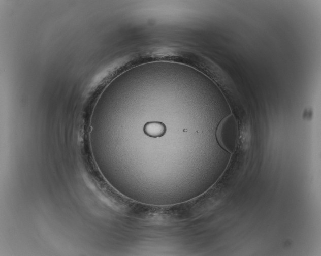 X0000112420732200908211145